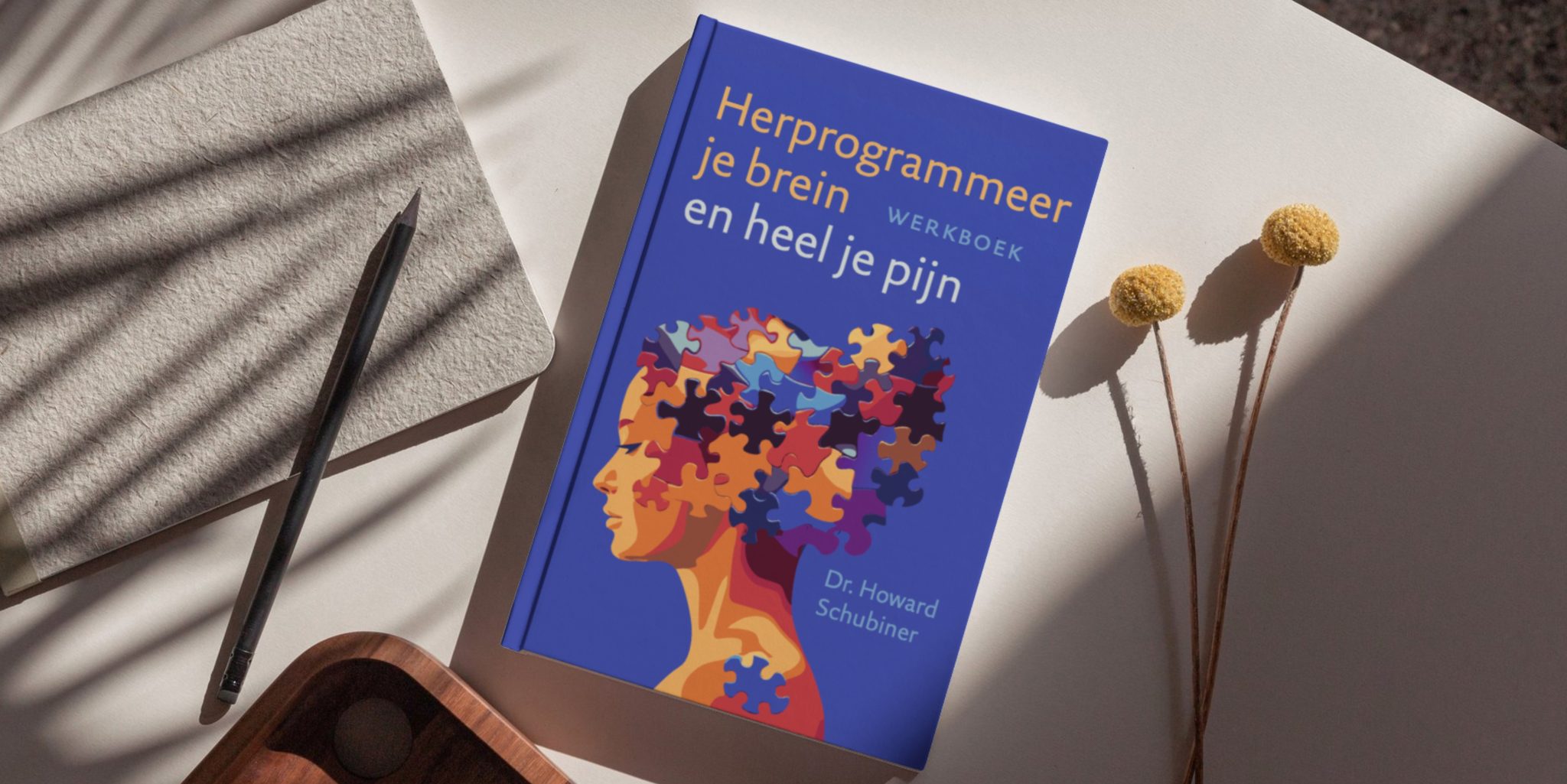 Herprogrammeer je brein en heel je pijn