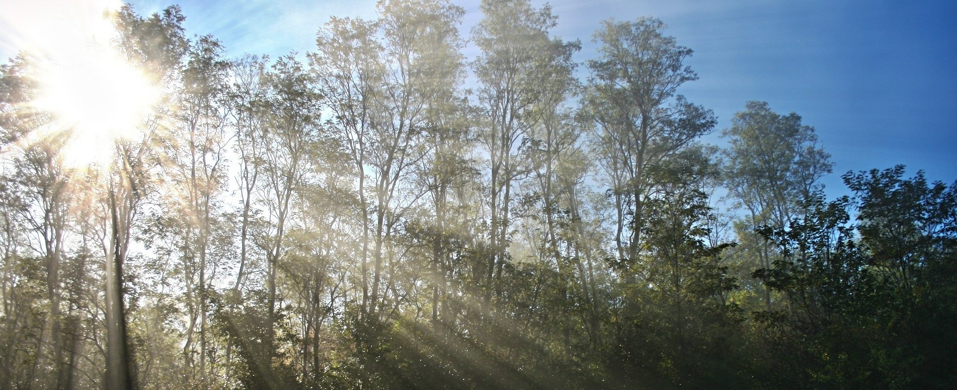 Aandacht voor Long Covid